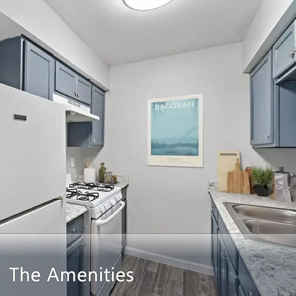 Features & Amenities
